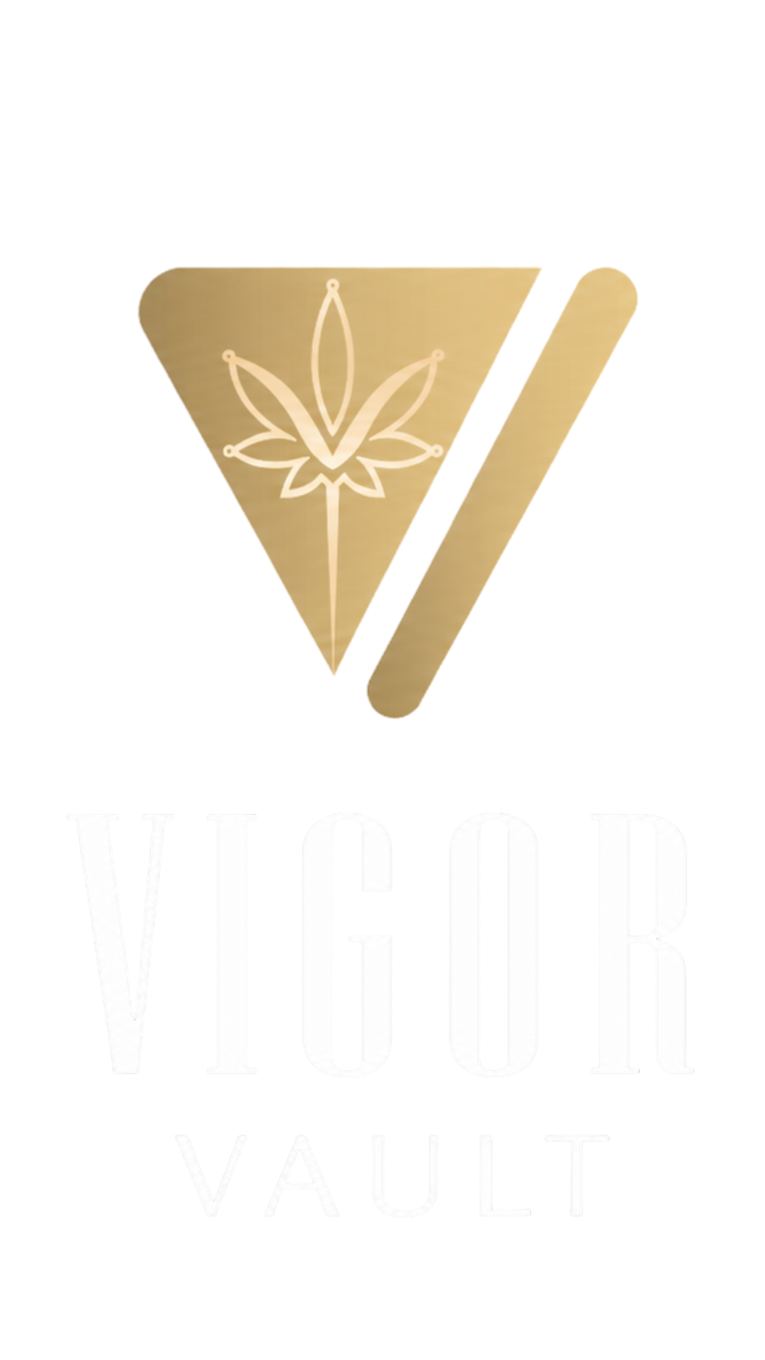 Vigor Vault